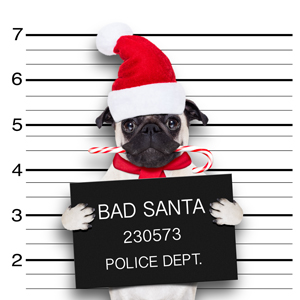 Watch Out for the 12 Scams of Christmas